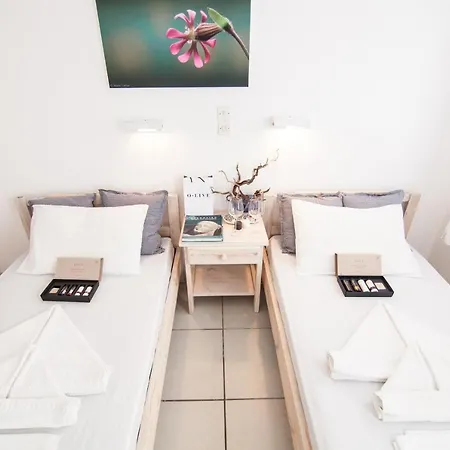 Apartment Alea Naousa (Paros)