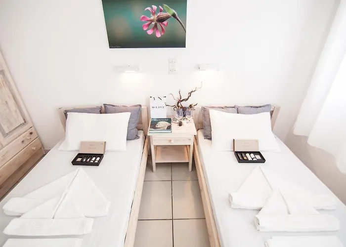 Apartment Alea Naoussa